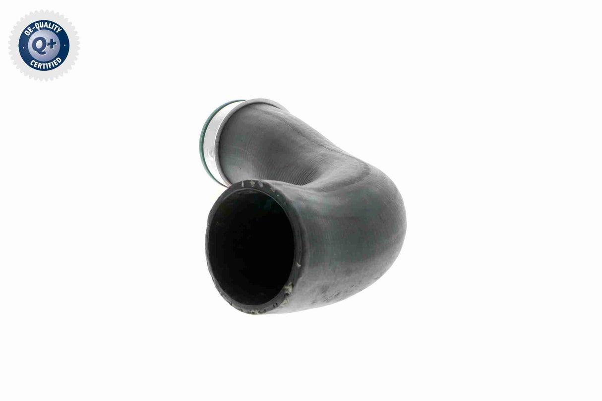 Charge Air Hose - V10-3816