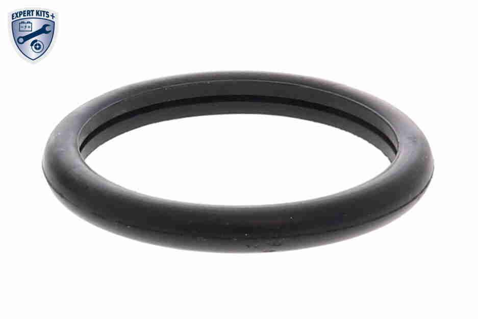Thermostat, coolant - V25-99-1707