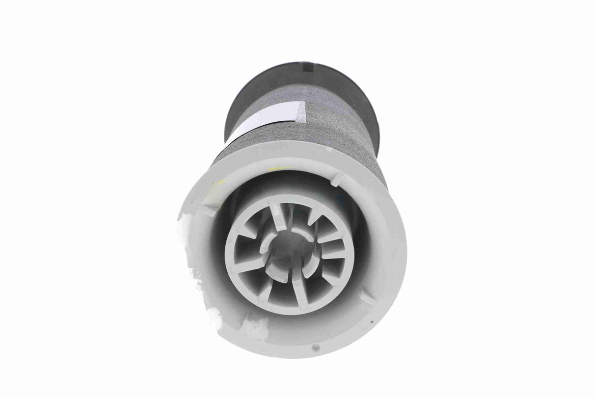 Air Suspension Strut - V20-50-0023