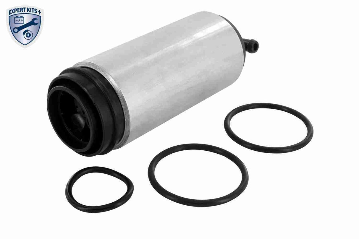 Fuel Pump - V10-09-0809-2