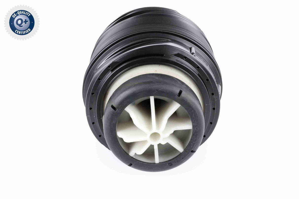 Air Suspension Strut - V30-50-0005