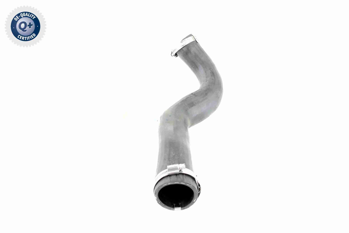 Charge Air Hose - V10-3817