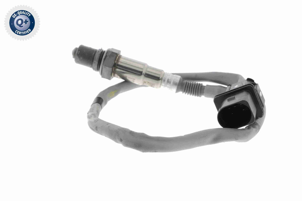 Oxygen Sensor - V53-76-0006