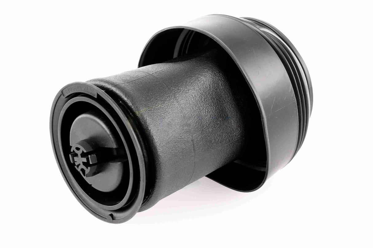 Air Suspension Strut - V20-50-0015-1