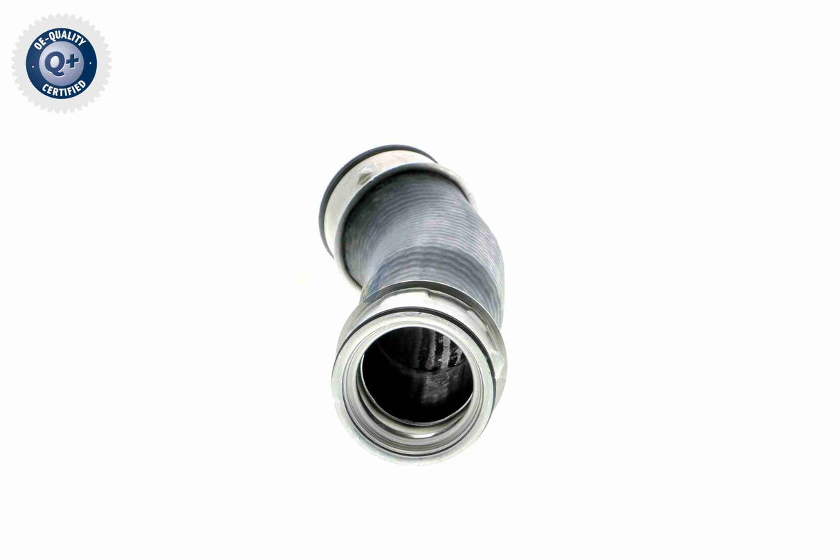 Charge Air Hose - V10-2896