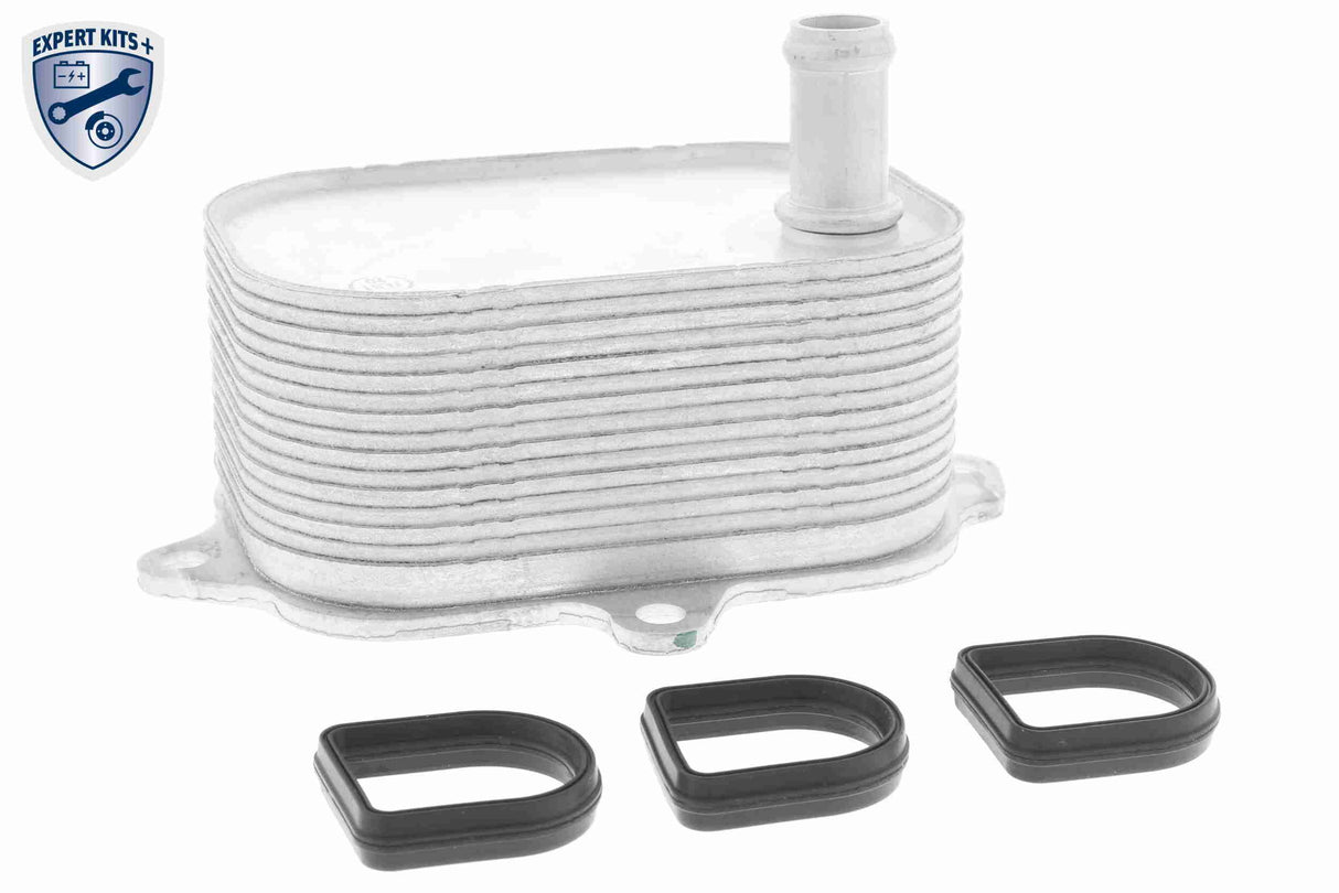 Oil Cooler, engine oil - V15-60-6088