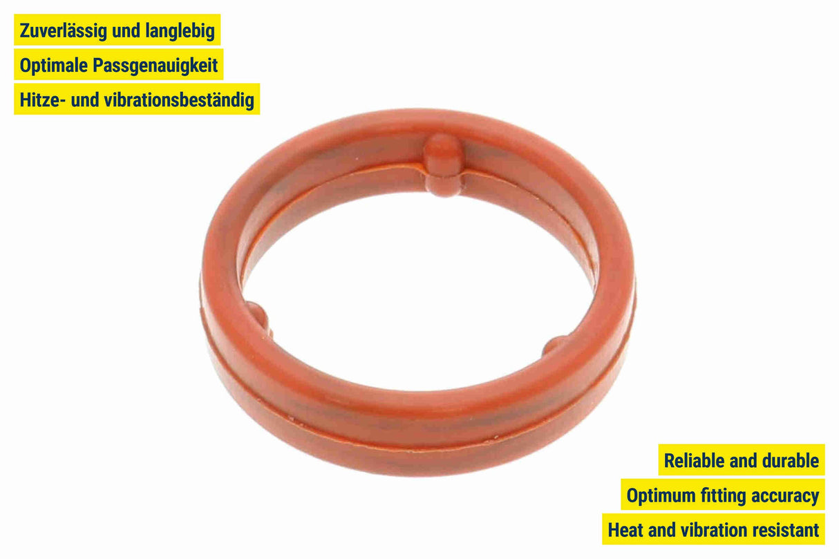 Gasket, oil cooler - V15-60-96064