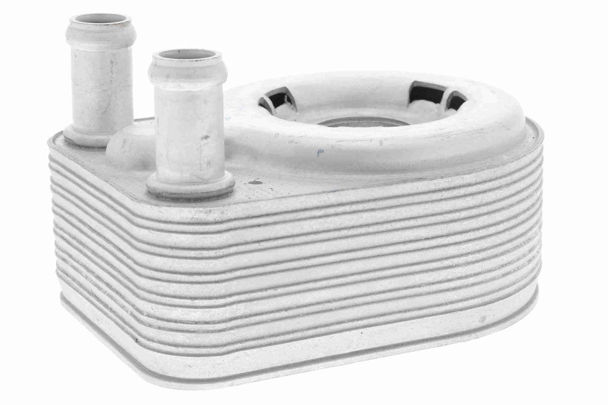 Oil Cooler, engine oil - V25-60-0043