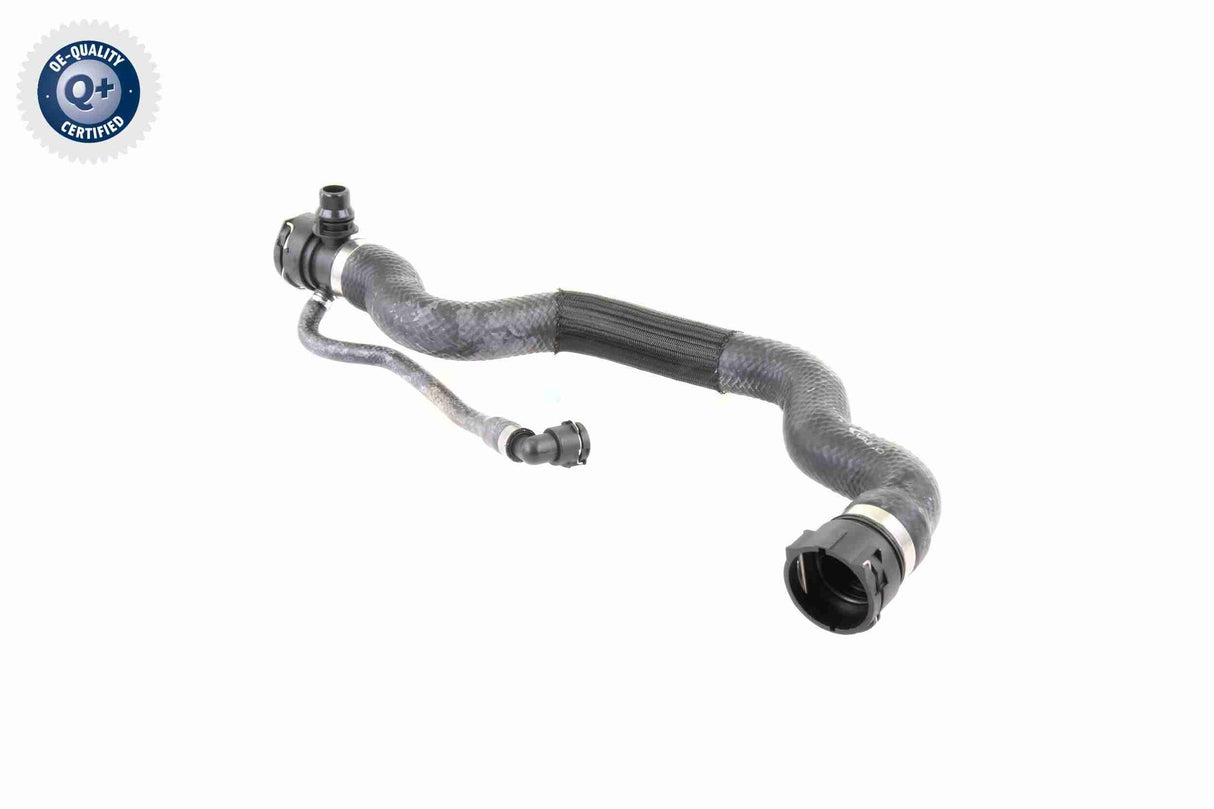 Radiator Hose - V20-1695