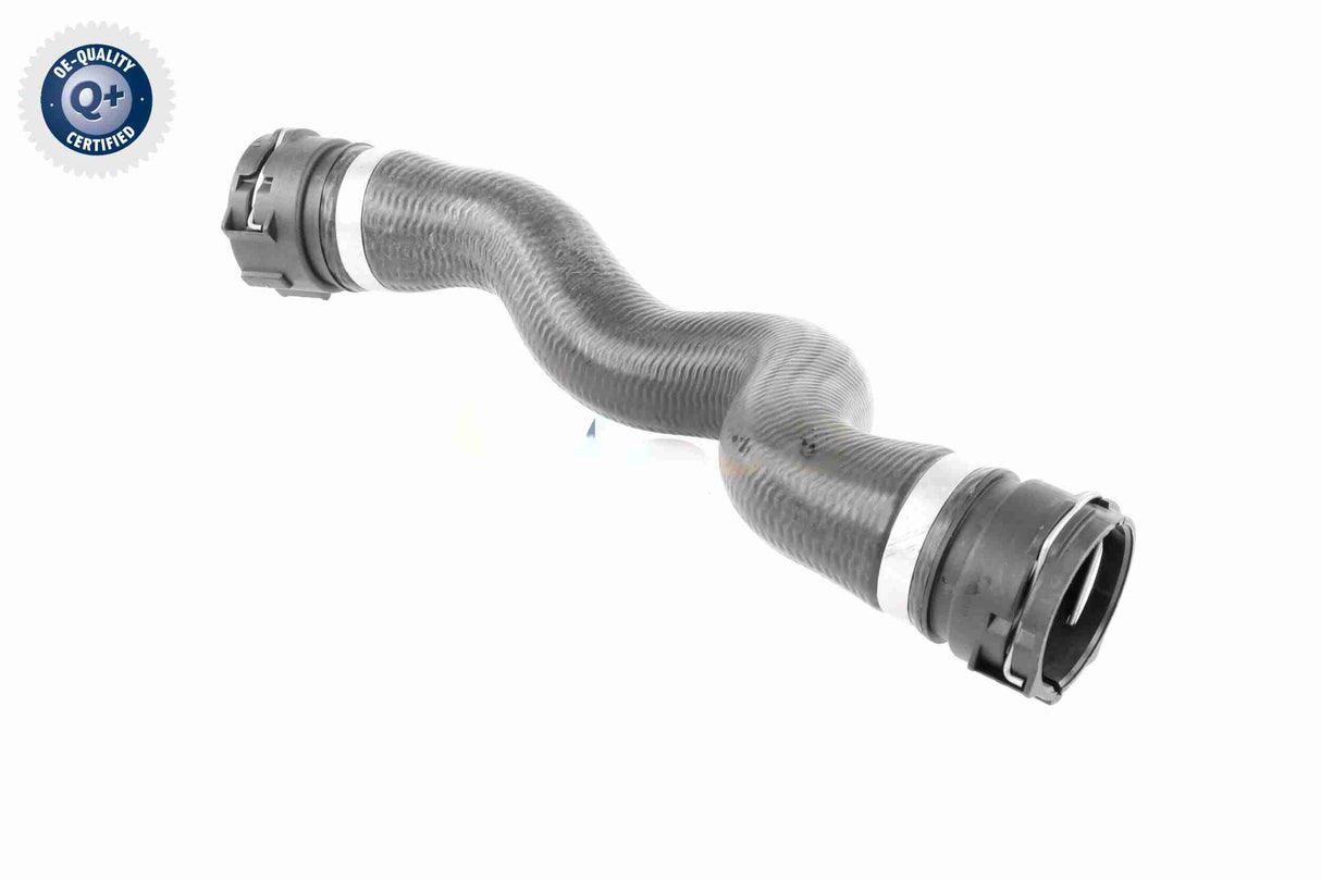 Radiator Hose - V48-0452