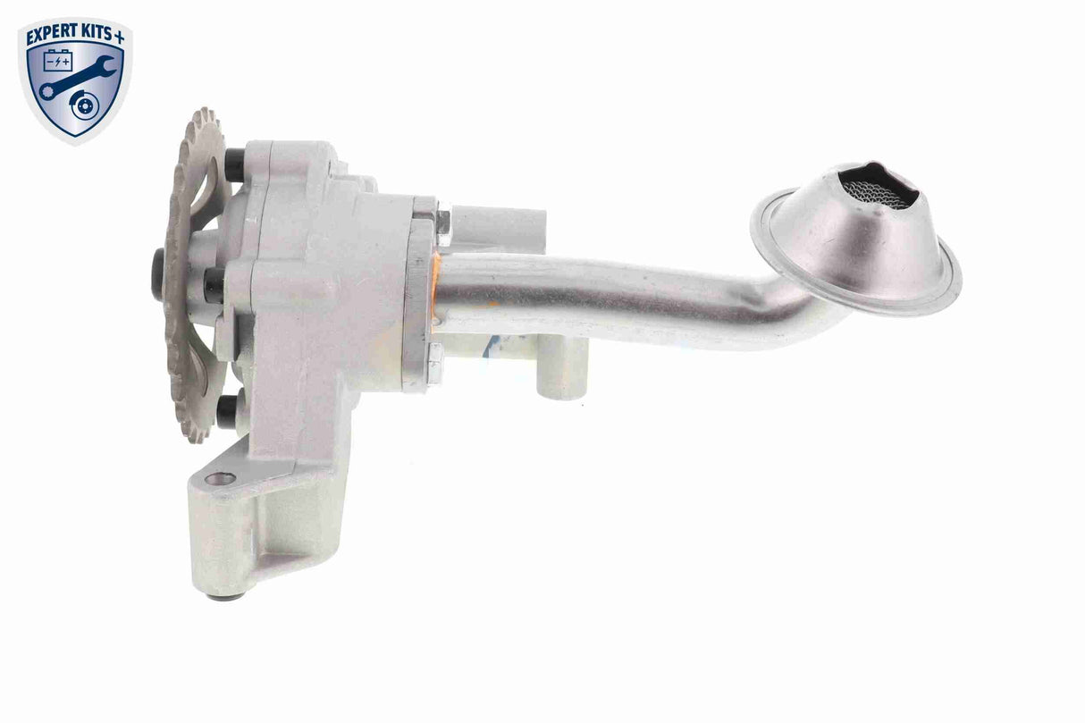 Oil Pump - V10-3724