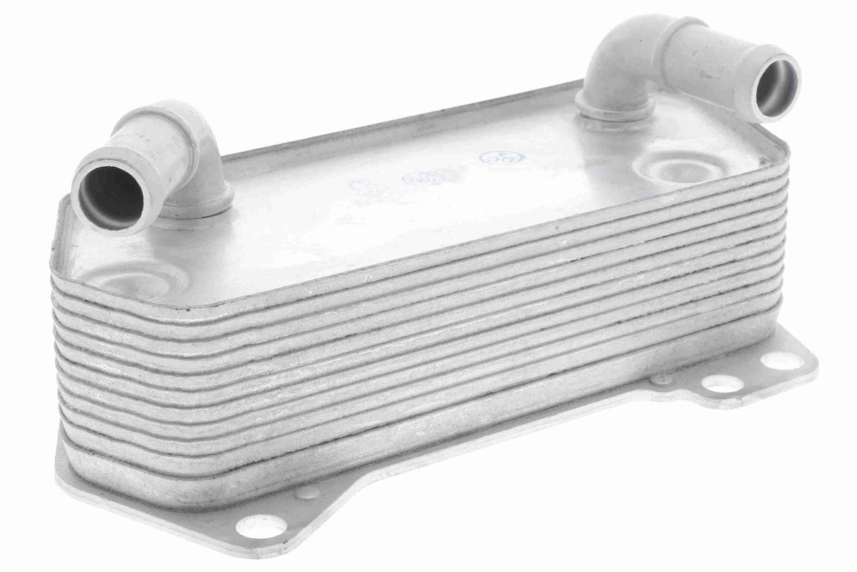 Oil Cooler, engine oil - V10-60-0008