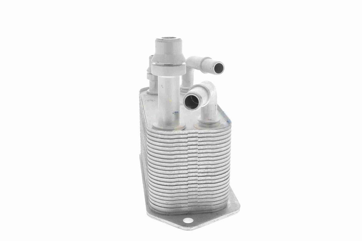 Oil Cooler, automatic transmission - V48-60-0042