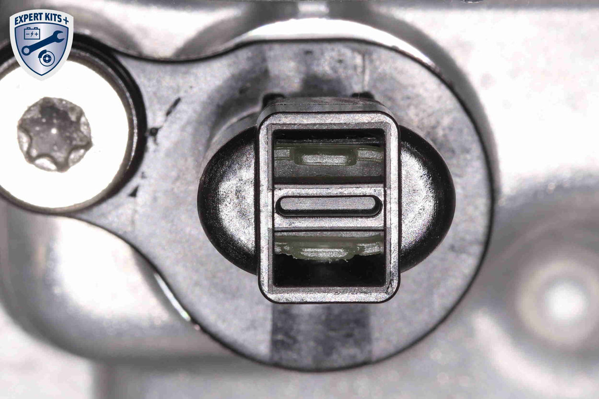 Cylinder Head Cover - V40-2154