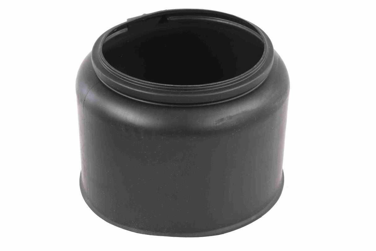 Air Suspension Strut - V20-50-0012