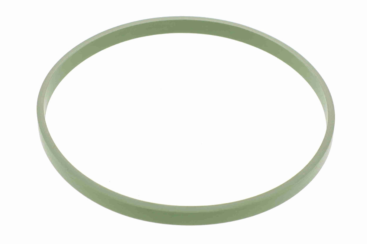 Gasket, throttle body - V20-81-0046