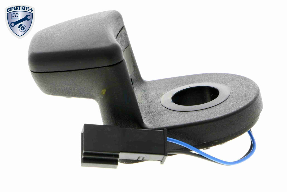 Switch, tailgate release - V20-73-0193