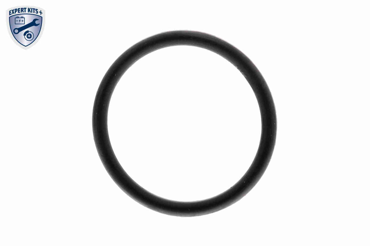 Thermostat Housing - V42-99-0021