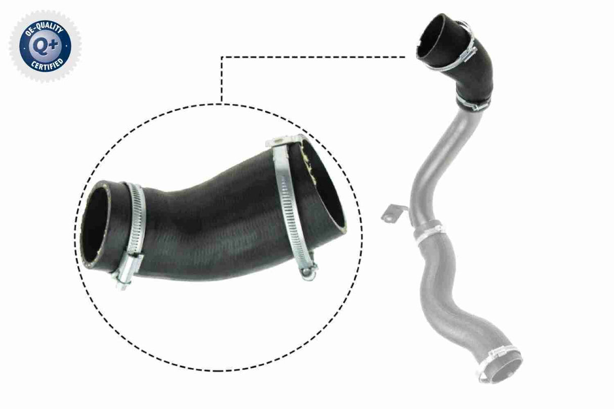 Charge Air Hose - V25-1029
