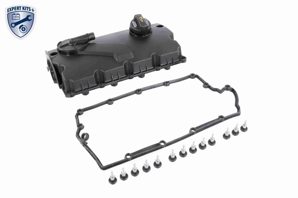 Cylinder Head Cover - V10-5980