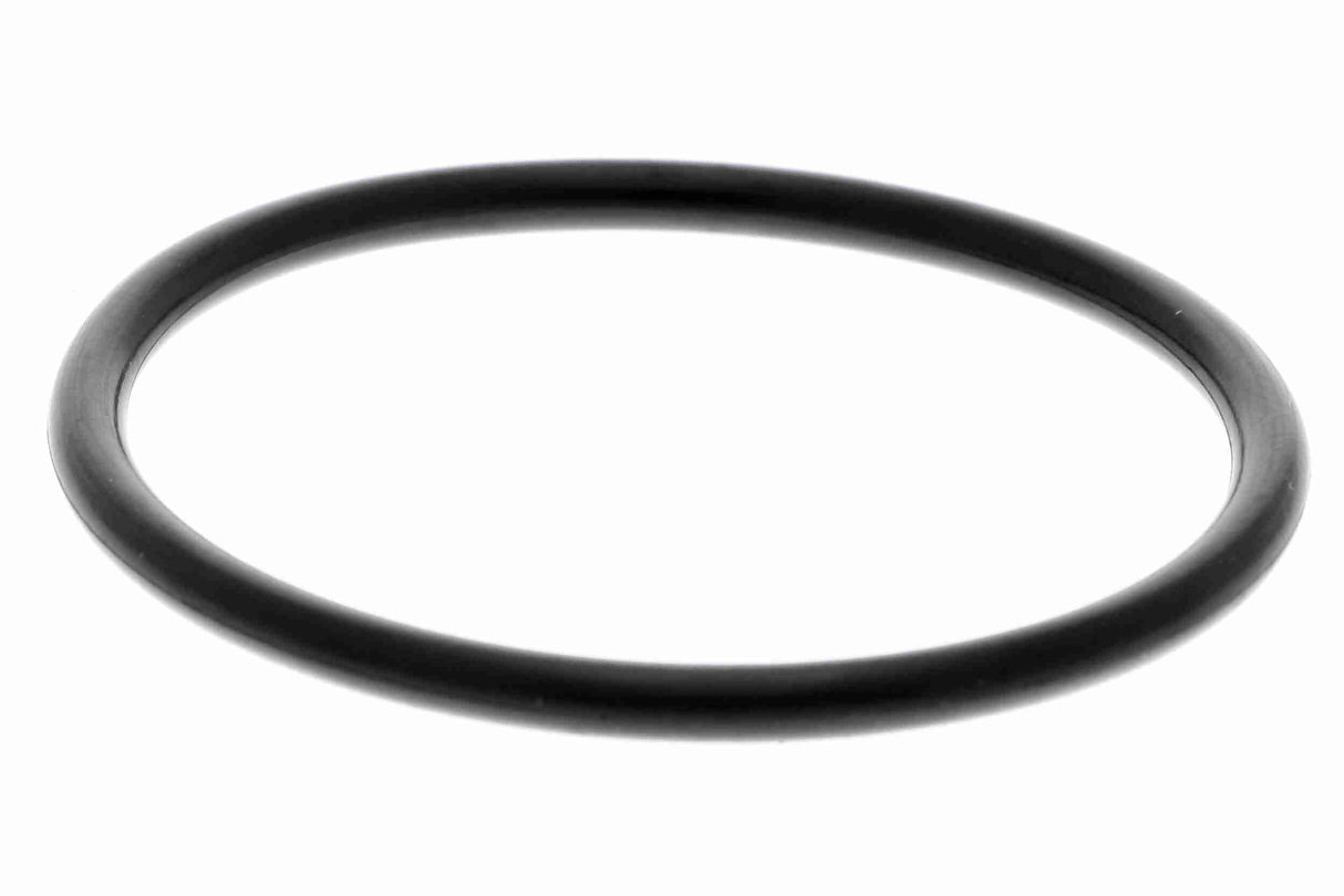 Fuel Pump - V20-09-0412