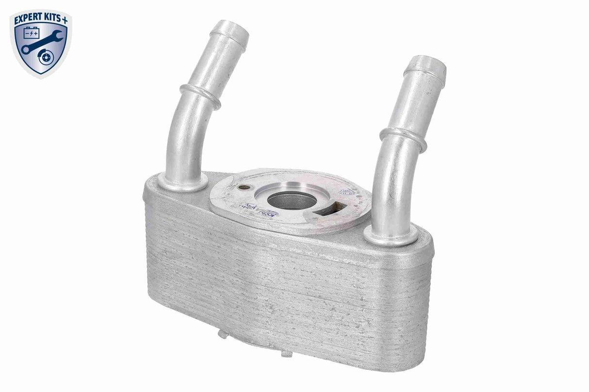 Oil Cooler, engine oil - V25-60-0065