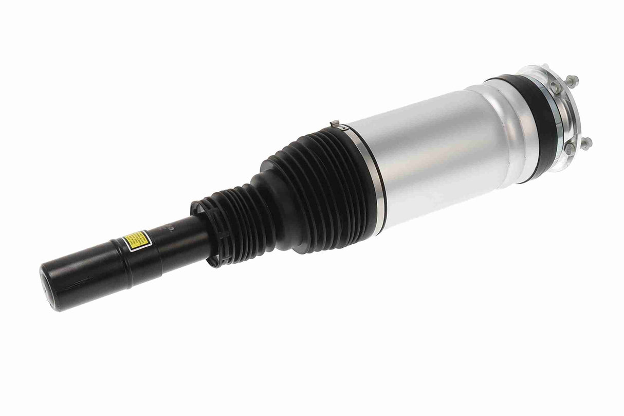 Air Suspension Strut - V48-50-0017