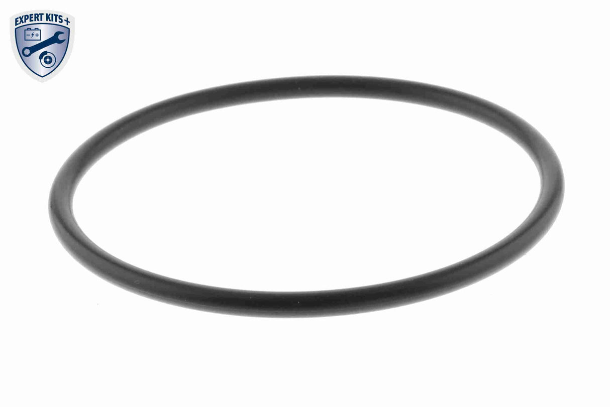 Gasket Set, EGR system - V10-63-0187