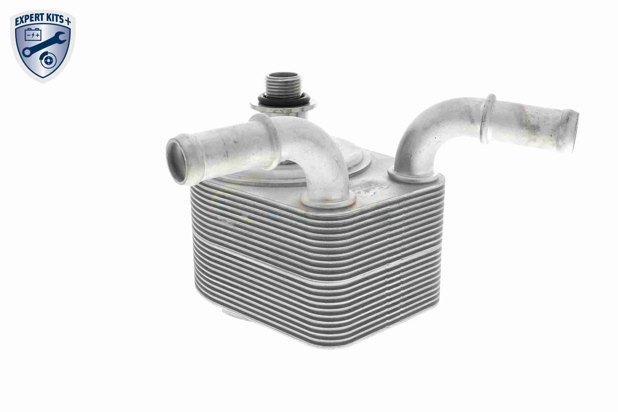 Oil Cooler, engine oil - V25-60-0049
