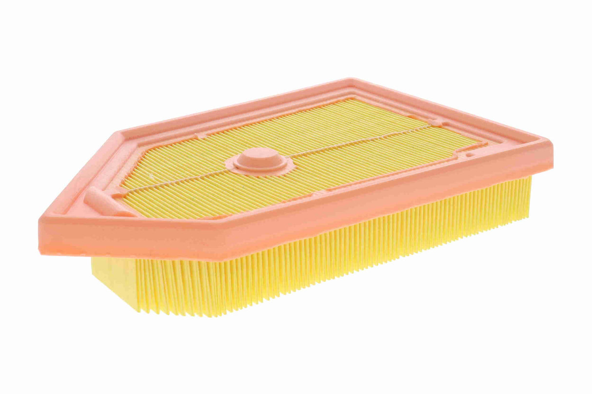 Air Filter - V25-2254