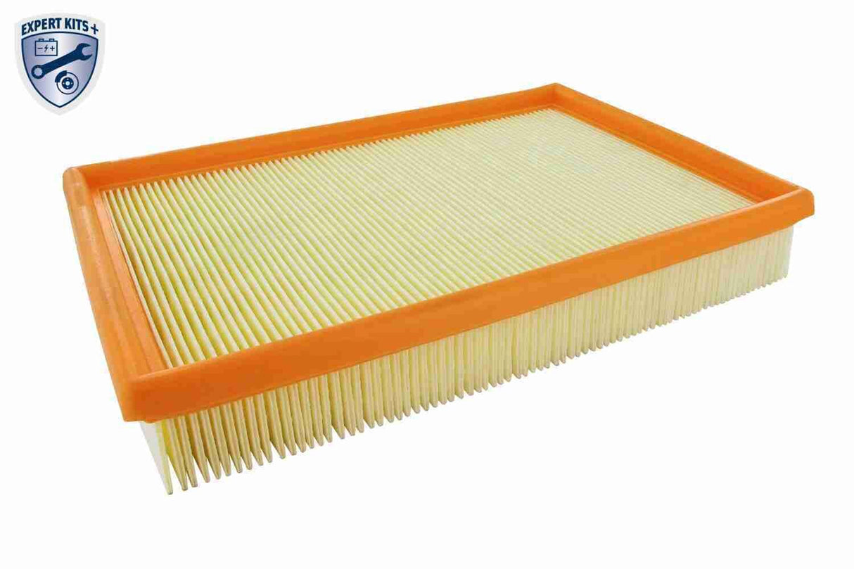 Air Filter - V25-0051