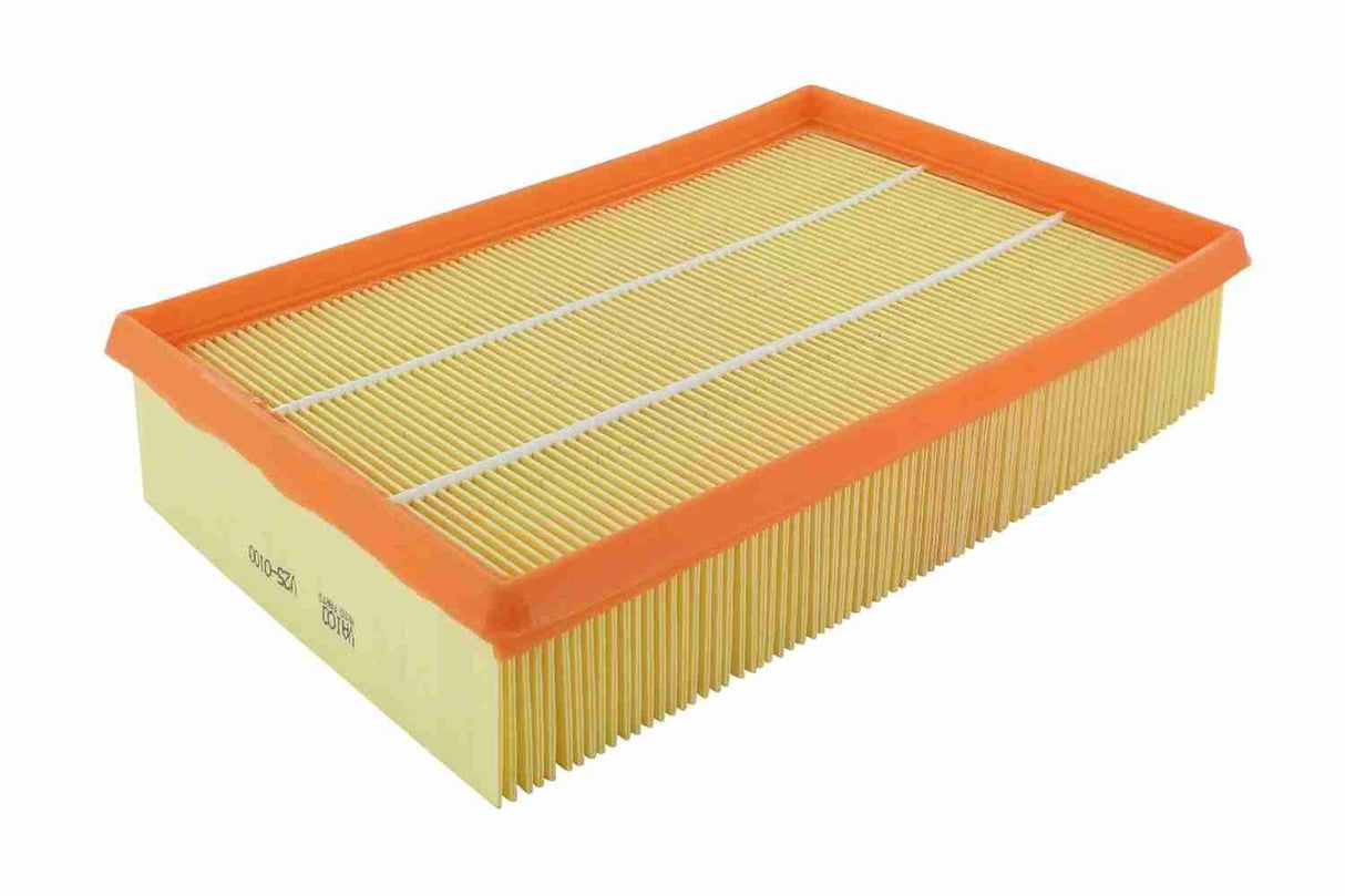 Air Filter - V25-0100