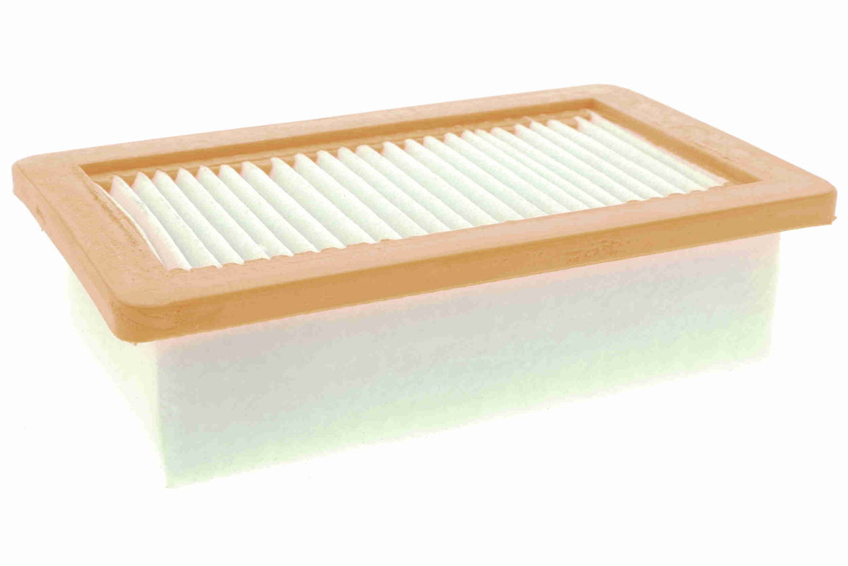 Air Filter - V30-9653
