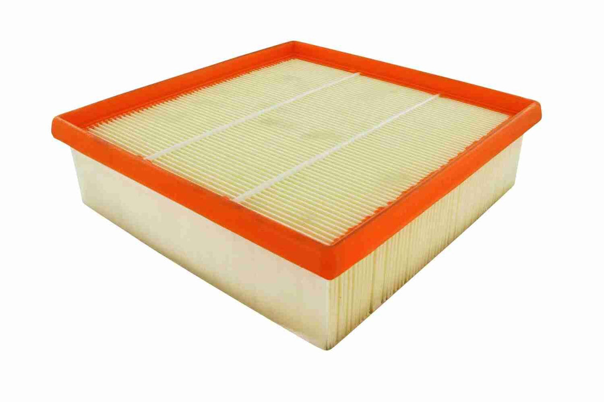 Air Filter - V40-0161