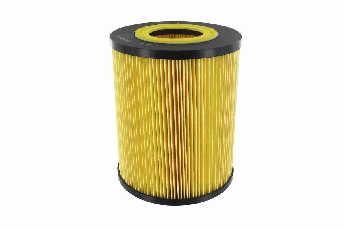 Air Filter - V30-7398