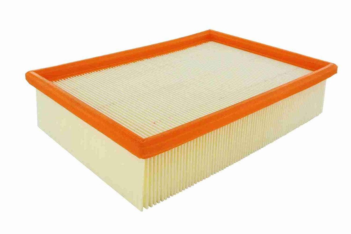 Air Filter - V25-0052