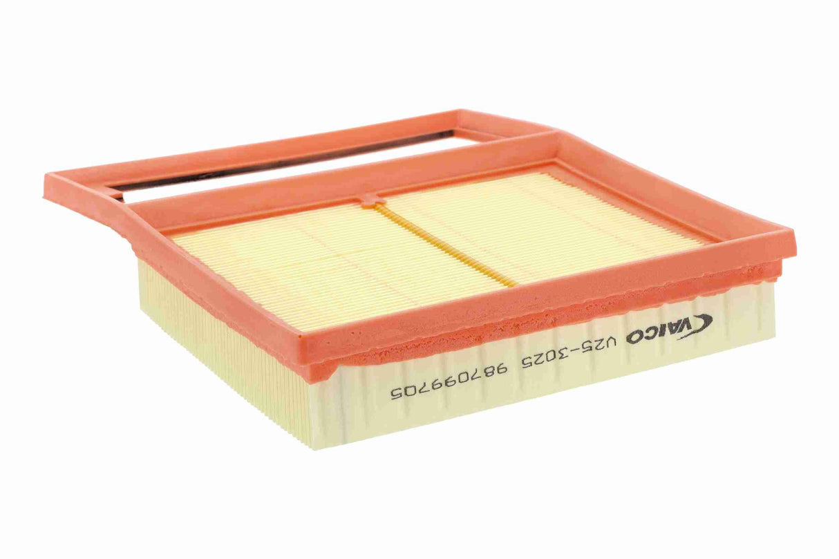 Air Filter - V25-3025