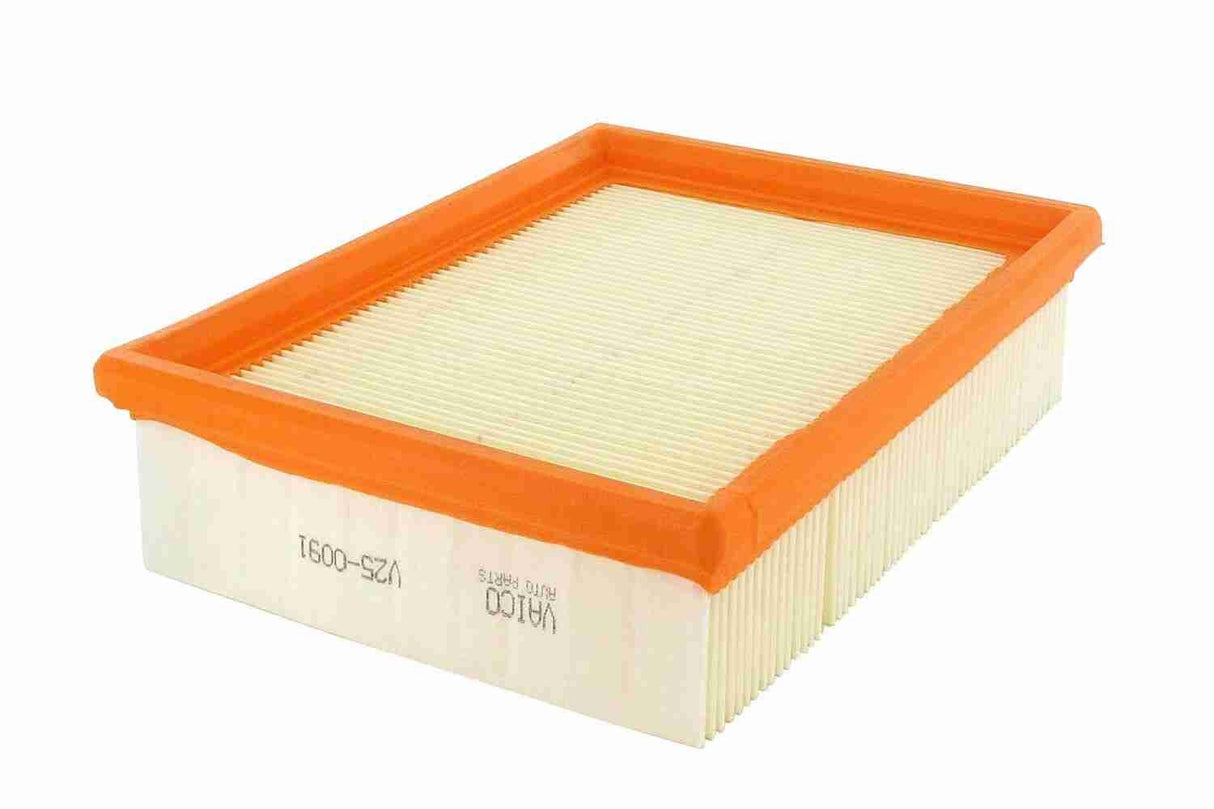 Air Filter - V25-0091