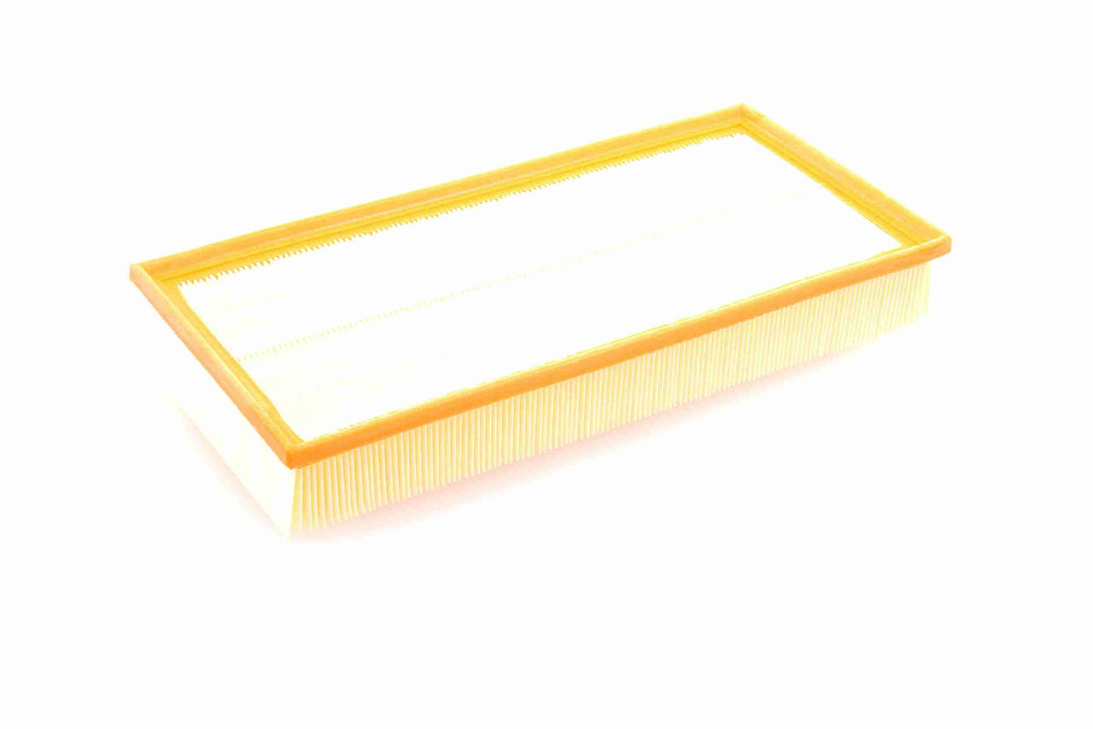 Air Filter - V10-4313