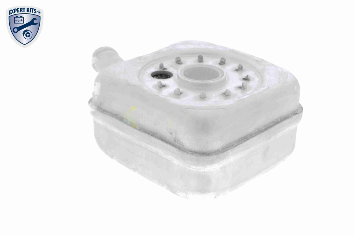 Oil Cooler, engine oil - V15-60-6011
