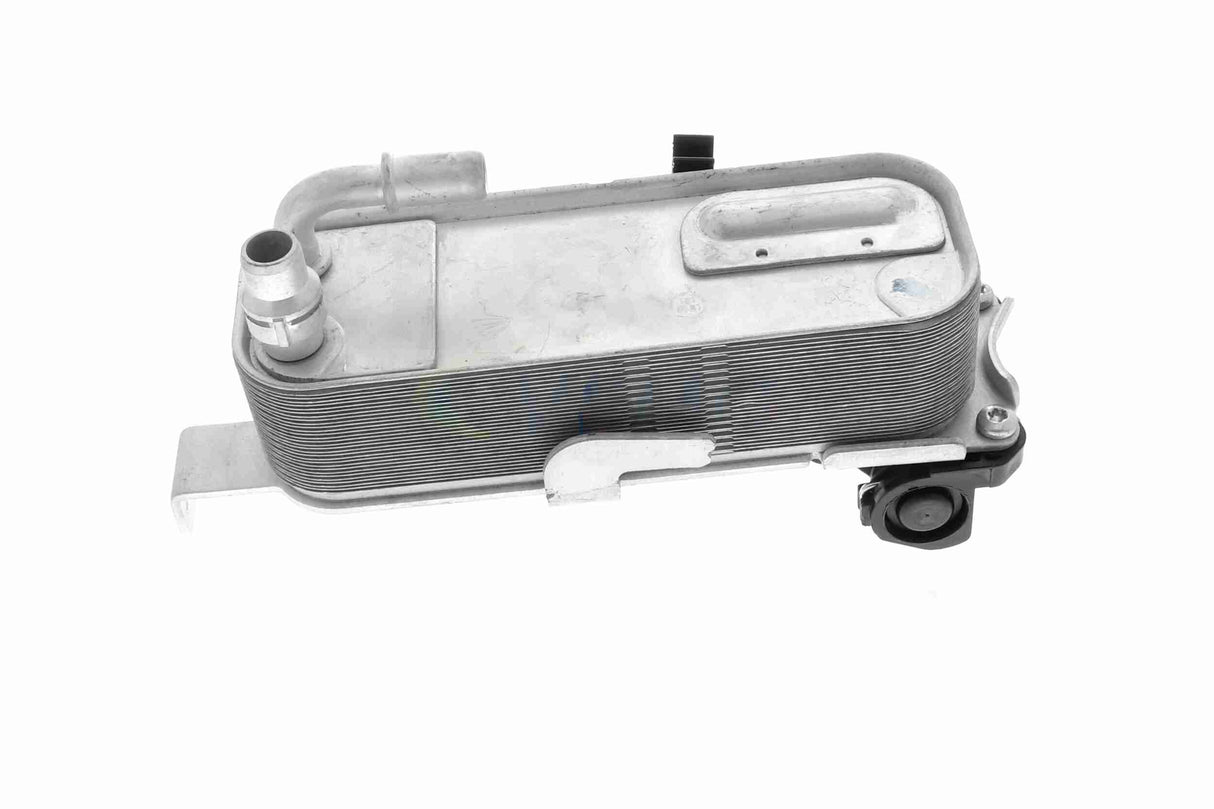 Oil Cooler, automatic transmission - V20-60-1660