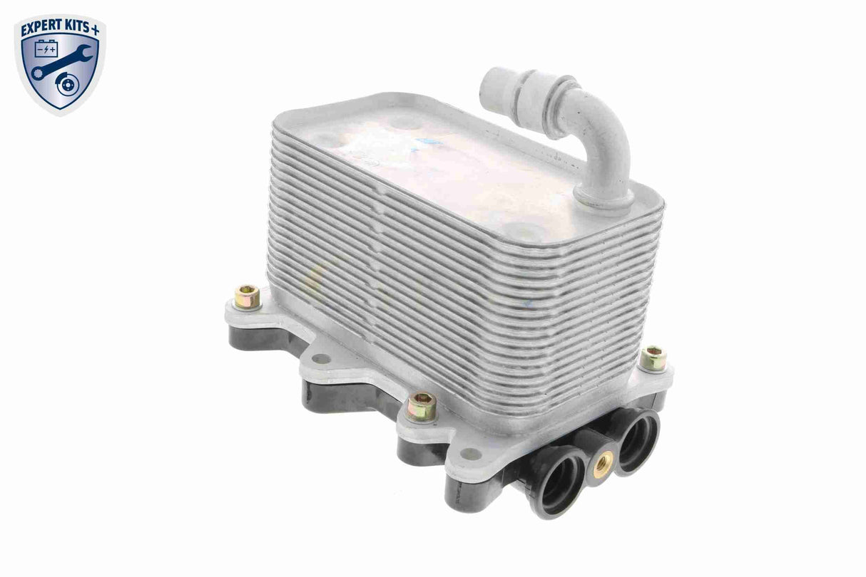 Oil Cooler, engine oil - V20-60-0046