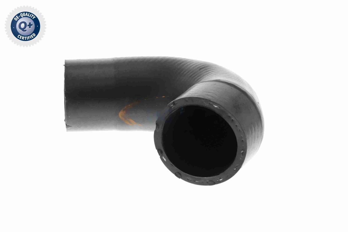 Radiator Hose - V20-3729
