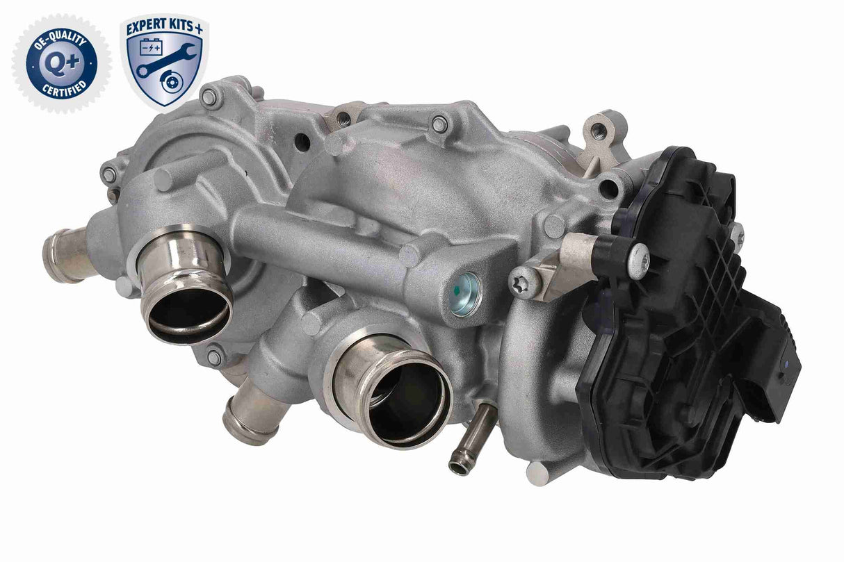 Water Pump & Timing Belt Kit - V10-50114