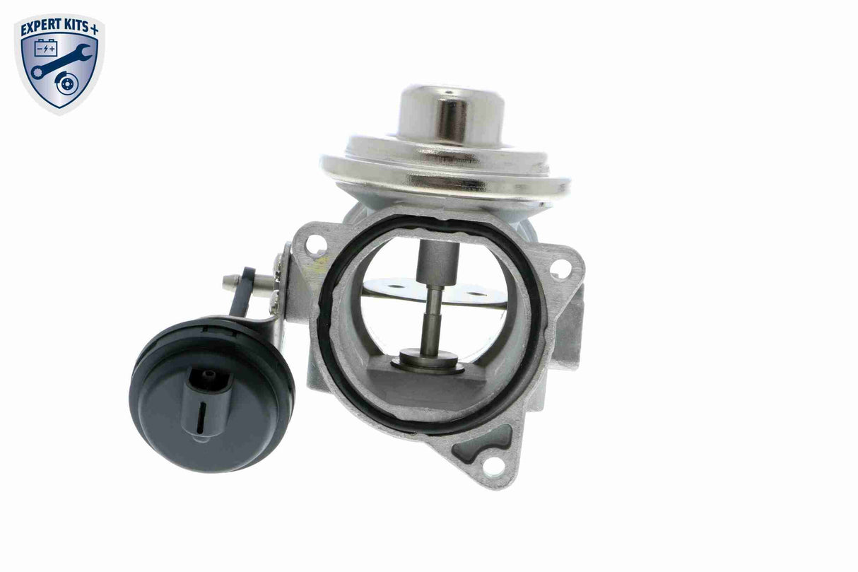 Valve, exhaust gas recirculation - V10-63-0020