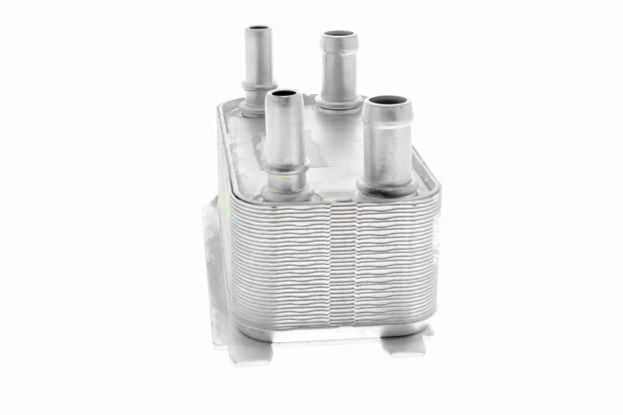 Oil Cooler, engine oil - V25-60-0044
