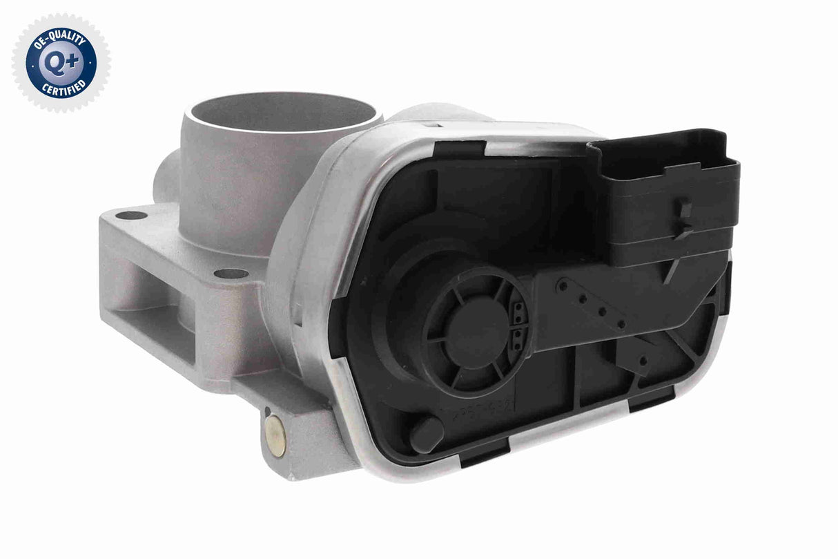 Throttle Body - V24-81-0011