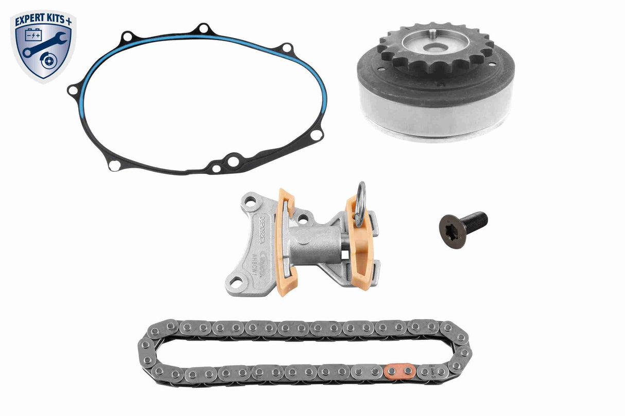 Timing Chain Kit - V10-10003