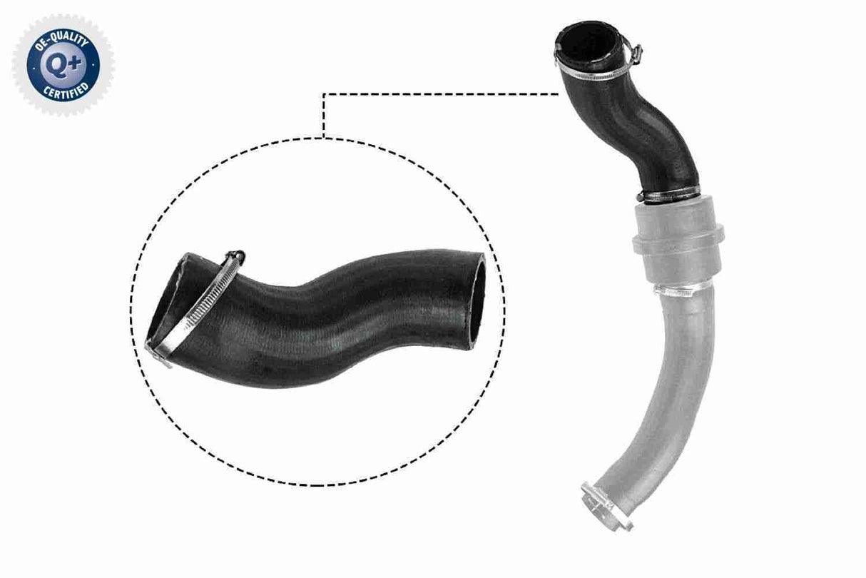 Charge Air Hose - V25-1057