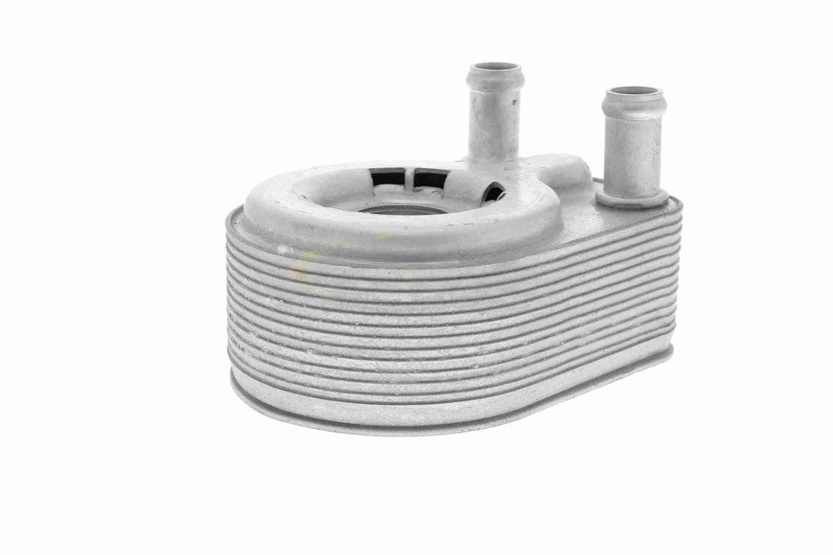 Oil Cooler, engine oil - V25-60-0043